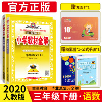2020新版小学教材全解三年级下册语文数学全套2本 人教版小学三3年级语文数学同步教材完全解读 课本配套同步讲解辅导资料