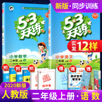 53天天练二年级上册语文数学全套同步训练 RJ人教版小学二年级上册试卷测试卷全套小儿郎5.3天天练思维训练 口算天天练书