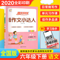 六年级下册同步作文阳光同学作文小达人 2020人教版 同步作文六年级下册同步训练 作文大全课堂作文书阅读与写作优秀范文作