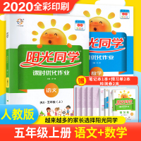 阳光同学五年级上册语文数学课时优化作业 人教部编版 五年级上册语文数学同步练习题册 课时练五年级课课练课堂练习册课时学练