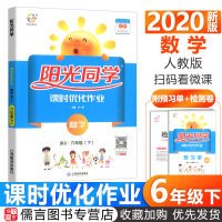 2020新版阳光同学六年级下册数学课时优化作业人教版 小学6年级下课堂配套同步训练题练习册课时作业本单元检测试卷辅导资料