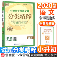 2020版小学毕业考试试题分类精粹语文六年级上册下册 通城学典6年级小学毕业升学总复习真题详解小升初必刷题小考必备语文专