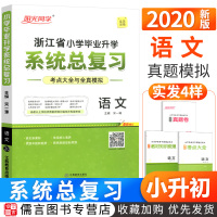 2020新版阳光同学小学毕业升学系统总复习语文人教版小升初知识大集结全解小学升初中小考必备必刷题练习册六年级复习资料宇轩