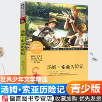 汤姆索亚历险记彩图版世界少年文学精选儿童文学名家经典读物小学生课外阅读少儿成长励志书世界文学名著曹文轩书籍快乐读书吧