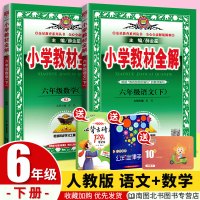 薛金星小学教材全解2020春六年级下册语文数学2本人教版RJ 课堂同步解读部编版同步训练学习资料包教辅书全套 同步阅读试