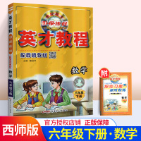 新世纪英才教程引探练创 挑战奥数与思维拓展训练 小学数学六年级下册数学辅导书 西师版西南师大版6年级数学下册资料书解读书