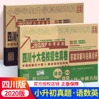 2020年四川十大名校招生卷小升初语文数学英语全套 小学毕业升学真题详解小学升初中六年级上册下册试卷总复习资料人教北师版