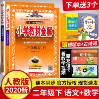 二年级下册语文数学课本配套讲解类书籍 教材全解二年级下册语文数学同步训练课本同步讲解 二年级下册语文书