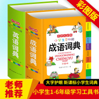 正版成语词典小学生专用多功能字典大全 小学1-6年级学习工具书成语词典+英语词典彩绘版现代汉语字典成语大全英汉互译 新华