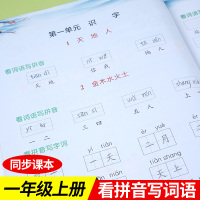 看拼音写词语一年级上册拼音专项训练1年级小学语文人教版学汉语生字注音组词拼写拼读天天练学习教材同步练习册一日一练习题试卷