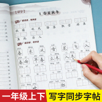 2册看拼音写词语生字注音彩绘版小学生一年级上下册语文同步训练一课一练人教阅读理解看图说话写作入门训练写字课课练1年级