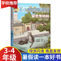 王小树的朋友们爱思考的猫3-4年级2020江西省暑假读一本好书 小学生三四年级假期读好书暑期课外老师推荐假期必读书目 杨