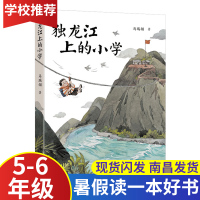 独龙江上的小学5-6年级2020江西省暑假读一本好书 小学生五六年级假期读好书暑期课外老师推荐假期必读书目读物二十一世纪