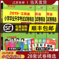 2020小升初必备江苏省小学毕业升学考试试卷精选28套卷语文数学英语小考总复习春雨48考必胜六年级下苏教版真题必刷题暑假