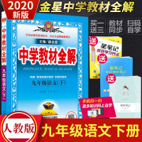 2020春新部编版九年级下册语文教材全解人教版RJ薛金星中学教材全解初三9年级下册语文书课本 教辅导资料书同步人教版九年