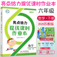 2020亮点给力提优课时作业本六年级下册数学江苏教版SJ版 小学6六年级下教材同步课后作业单元检测练习册基础知识专项训练