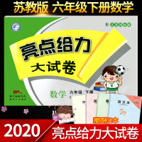 正版2020亮点给力大试卷六年级数学下册综合检测卷 单元期中期末测试卷 六年级下册试卷江苏译林版