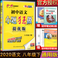 2020恩波小题狂做提优版八年级语文下册小题狂做语文八年级下册提优版8年级下初二课时同步练+期末专项练+Mini课课通初