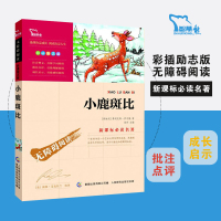 智慧熊 小鹿斑比 名著彩插励志版 7-9-10-12岁青少年儿童文学图书 小鹿斑比 新课标名著