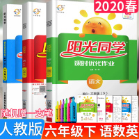 2020版宇轩阳光课时优化作业六年级下语文数学英语下册人教RJ版6年级同步试卷作业本练习册小学语数英试卷小学单元检测券