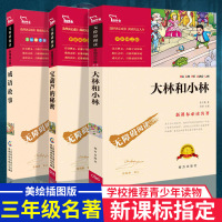快乐读书吧三年级选读新课标指定书目大林和小林宝葫芦的秘密成语故事课外阅读书
