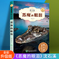 新版沈石溪 动物小说恶魔的眼泪 中小学生课外书必读儿童书老师推荐三四五六年级经典读物 沈石溪动物小说系列