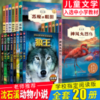 正版沈石溪著动物小说鉴赏全20册猴王狼王象王豹王鹰王狗王火焰冰月光森林恶魔的眼泪神风火烈鸟等全集全套沈石溪系列列动物小说