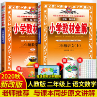 2020秋薛金星小学教材全解二年级上册语文数学全套书籍人教版RJ部编版教材解读全练课本同步训练暑假作业衔接二年级试卷天天