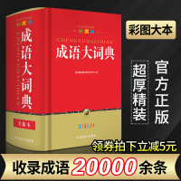 2020新版成语大词典重点(彩图版)正版中小学汉语成语词典大全 新华成语词典全功能现代汉语字典同义反义词典初高中生实用