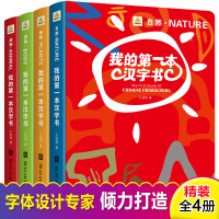 新款正版 我的第一本汉字书全套4册 启蒙卡片0-3-6岁儿童学前象形字认知宝宝看图识字早教翻翻书籍幼儿园整合教材幼小衔接