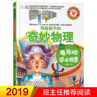 疯狂的物理课-电与磁的小世界 写给孩子的奇妙物理 物理百科全书 初中青少年版科普图书 三四五六年级小学生课外阅读书籍