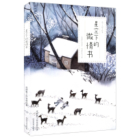 【正版】星空下的微情书艺绘本 皮痞祖工作室绘著 绘本唯美文艺 文艺绘本治愈系 绘画 文 河南美术出版社