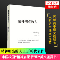 精神明亮的人 王开岭散文随笔自选集 文学中国现当代随笔 中国校园公认的精神启蒙书和美文鉴赏书 现当代文学散文随笔名家名作