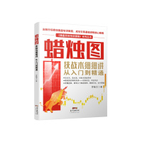 蜡烛图-技战术细细讲从入门到精通 罗振文[新华书店正版书籍]