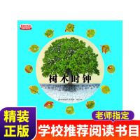 树木时钟(少年版) (德)英姆迦德·鲁特|译者:顾白[新华书店正版书籍]
