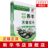 高效健康养羊关键技术 肉羊特种养殖书 羊病防治实用手册 羊病诊治防治大全书 畜禽健康养殖 羊养殖技术 新华书店旗舰店