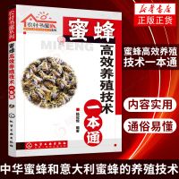 蜜蜂高效养殖技术一本通 养蜂书籍 蜜蜂中蜂养殖技术大全 养蜂技术指导 中蜂病虫害及防治技术 蜜蜂饲养原理 新华书店旗舰店