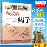 高效养蝎子 高效养殖致富直通车 蝎子饲养养殖管理养蝎子技巧养蝎专业户 蝎子繁殖蝎子病害与敌害防治 新华书店旗舰店正版