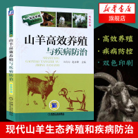 官方正版 山羊高效养殖与疾病防治 科学生态饲养殖羊技术大全 羊疾病预防诊断 白山羊南方黑山羊 致富经[新华书店旗舰店