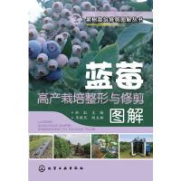 设施蓝莓优质丰产栽培技术