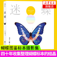 [新华书店旗舰店]迷蝶 蝴蝶标本蝴蝶图鉴摄影集动物百科大全书动物科普图画书启蒙科普书儿童科普书籍 蝴蝶爱好者参考书