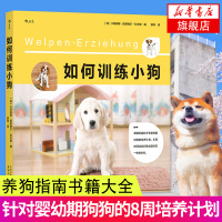 如何训练小狗 训狗教程书 养狗指南书籍大全 泰迪柯基金毛阿拉斯加哈士奇吉娃娃训狗一点通 宠物美容医生医疗疾病 训狗指南