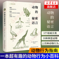正版 动物的秘密语言 雅尼娜拜纽什 动物行为习性分析 动物生活习惯语言 科普读物小百科全书 中国国家地理【新华书店旗舰店