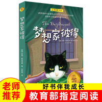 梦想家彼得一个十岁的小男孩彼得的白日梦 小学生五六年级课外阅读推荐 麦克尤恩写给孩子的书为成年人写的儿童作品奇幻儿童