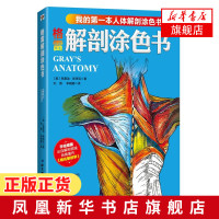 格雷解剖涂色书 弗雷迪斯塔克著 解剖学 解剖学知识 人体绘图 解剖彩色图谱 北京科学技术出版社 新华书店旗舰店正版