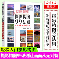 [新华书店旗舰店]摄影构图99法则:让画面从无序到有序 人像风景建筑夜景动物等摄影教程 色彩设计 摄影技巧书籍