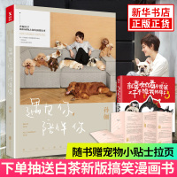 遇见你陪伴你 书籍[抽送白茶作品+随书赠拉页]孙俪2018新书 和流浪动物的故事用爱陪伴流浪猫犬 带我回家2 新华书