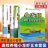 正版 高效小龙虾养殖书籍[五本套]小龙虾养殖技术书 小龙虾养殖技术大全 科学养虾新技术 虾病害防治养虾技术 高效养殖小