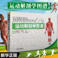 运动解剖学图谱 第3版 健身教练书籍医学彩色图谱肌肉健美训练图解 医学实用性人体图谱运动生理学 体育运动中的功能性训练书