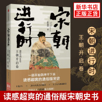 宋朝进行时-趣说宋朝300年 王朝开启卷 野狐狸著 马伯庸推荐 通俗版宋朝那些事儿 历史知识读物正版书籍【新华书店旗舰店